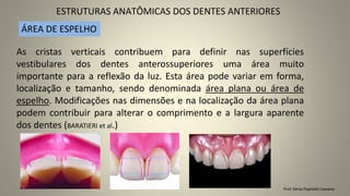 ESTRUTURAS ANATÔMICAS DOS DENTES ANTERIORES
Prof. Sônia Popiolek Caetano
ÁREA DE ESPELHO
As cristas verticais contribuem para definir nas superfícies
vestibulares dos dentes anterossuperiores uma área muito
importante para a reflexão da luz. Esta área pode variar em forma,
localização e tamanho, sendo denominada área plana ou área de
espelho. Modificações nas dimensões e na localização da área plana
podem contribuir para alterar o comprimento e a largura aparente
dos dentes (BARATIERI et al.)
 
