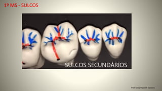 Prof. Sônia Popiolek Caetano
1º MS - SULCOS
 