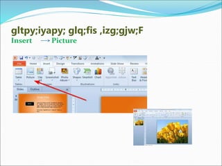 gltpy;iyapy; glq;fis ,izg;gjw;F
Insert Picture
 