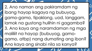 2. Ano naman ang pakiramdam ng
ibang hayop kagaya ng bubuyog,
gamo-gamo, tipaklong, uod, langgam,
lamok na gustong hulihin ni gagamba?
3. Ano kaya ang naramdaman ng mga
maliliit na hayop (bubuyog, gamo-
gamo, atbp) nang dumating ang ibon?
Ano kaya ang sinabi nila sa kanya?
 