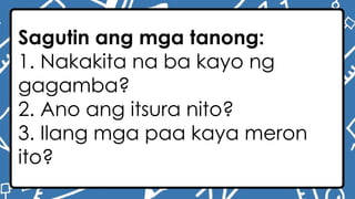 Sagutin ang mga tanong:
1. Nakakita na ba kayo ng
gagamba?
2. Ano ang itsura nito?
3. Ilang mga paa kaya meron
ito?
 