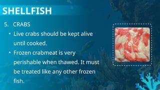 5. CRABS
• Live crabs should be kept alive
until cooked.
• Frozen crabmeat is very
perishable when thawed. It must
be treated like any other frozen
fish.
SHELLFISH
 