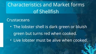 characteristic and market.pptx_2nd quarter | PPTX