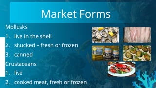 Market Forms
Mollusks
1. live in the shell
2. shucked – fresh or frozen
3. canned
Crustaceans
1. live
2. cooked meat, fresh or frozen
 