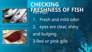 CHECKING
FRESHNESS OF FISH
Fin Fish
1. Fresh and mild odor
2. eyes are clear, shiny
and bulging
3.Red or pink gills
 