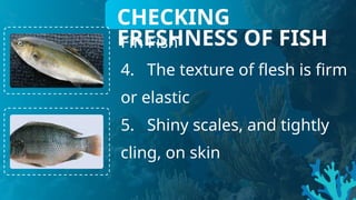 CHECKING
FRESHNESS OF FISH
Fin Fish
4. The texture of flesh is firm
or elastic
5. Shiny scales, and tightly
cling, on skin
 