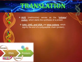 DNA replication, transcription, and translation | PPTX