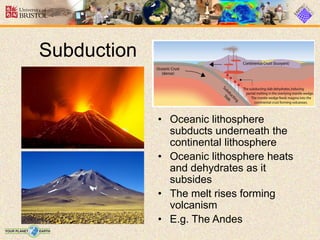 • Oceanic lithosphere
subducts underneath the
continental lithosphere
• Oceanic lithosphere heats
and dehydrates as it
subsides
• The melt rises forming
volcanism
• E.g. The Andes
Subduction
 