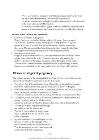 *These sperm release an enzyme called hyaluronidase which breaks down
the outer layer of the ovum in a process called capacitation.
→It allows a single sperm to finally enter the ovum and join its DNA with that
of the ovum which is called fertilisation.
→ The fertilised cell is called a zygote. It starts to divide and it is has different
names at various stages of division (morula, blastocyst and finally embryo).
Multiple births, twinning and freemartins
 Formation of multiple births (twins)
If more than one ovum is shed during ovulation, then more than one zygote
can be formed. For example, pigs normally have 6–14 piglets and sheep can
give birth to twins or triplets. Multiple births are less common in cows but
does occur. The formation of the twins is dizygotic if two ova are fertilised and
monozygotic when the embryo splits into two during development.
 Formation of freemartins
Dizygotic twins of different sexes occasionally develop an interconnected blood
supply. If this happens, the heifer receives testosterone which causes the
underdevelopment of the female sex organs and the formation of tiny ovaries.
This results in a sterile freemartin. These heifers can be identified by external
signs such as excess hair on the vulva and an underdeveloped udder and teats.
Phases or stages of pregnancy
The embryo remains in the fallopian tube for 4–5 days. It then moves down into the
uterus where it lies loose in the uterus for the first month.
 The embryo then differentiates into three different layers, namely the endoderm,
mesoderm and ectoderm which give rise to the various tissues and organs.
 Between the first and fourth months of pregnancy, the foetus attaches to the uterus
and is enclosed in a number of membranes or layers.
 The amnion membrane surrounds the foetus directly and contains amniotic fluid
 The chorion, which is attached to the umbilicus of the foetus like the amnion, lies
against the uterus wall and is filled with fluid.
 A small sac (allantois) gradually enlarges and becomes attached to the chorion.
 The embryo excretes urinary waste through
the umbilicus into the allantoic sac.
 The fused chorio-allantois forms round
the area in which the blood supply of the
foetus and the mother are closely in contact.
This allows the embryo to receive oxygen and
nutrients by diffusion and osmosis.
areas of attachment to the uterine wall
called cotyledons.
 In cows, cotyledons represent the placenta, or
15
Downloaded by Surprise Ramahlo (surpriseramahlo1930@gmail.com)
lOMoARcPSD|29919704
 