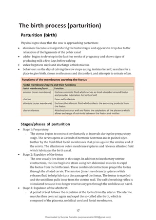 The birth process (parturition)
Parturition (birth)
Physical signs show that the cow is approaching parturition:
 abdomen: becomes enlarged during the foetal stages and appears to drop due to the
relaxation of the ligaments of the pelvic canal
 udder: begins to develop in the last few weeks of pregnancy and shows signs of
producing milk a few days before calving
 vulva: begins to swell and discharge a thick mucous
 behaviour: on the day of calving the cow stops eating, isolates herself, searches for a
place to give birth, shows restlessness and discomfort, and attempts to urinate often.
Foetal membranes/layers and their functions
Foetal membrane/layer Function
amnion (inner membrane) Encloses amniotic fluid which serves as shock absorber around foetus
and provides lubrication for birth of calf
chorion Fuses with allantois
allantois (outer membrane) Encloses the allantoic fluid which collects the excretory products from
the foetus
chorio-allantois Attaches to uterus wall and forms the cotyledons of the placenta which
allows exchange of nutrients between the foetus and mother
Stages/phases of parturition
 Stage 1: Preparatory
- The uterus begins to contract involuntarily at intervals during the preparatory
stage. The cervix opens as a result of hormone secretion and is pushed open
further by the fluid-filled foetal membranes that press against the uterine end of
the cervix. The allantois or outer membrane ruptures and releases allantoic fluid
which lubricates the birth canal.
 Stage 2: Expulsion of the foetus
- The cow usually lies down in this stage. In addition to involuntary uterine
contractions, the cow begins to strain using her abdominal muscles to expel
the foetus from the birth canal. These combined contractions propel the foetus
through the dilated cervix. The amnion (inner membrane) ruptures which
releases fluid to help lubricate the passage of the foetus. The foetus is expelled
and the umbilicus pulls loose from the uterine wall. The calf’s breathing reflex is
stimulated because it no longer receives oxygen through the umbilicus or navel.
 Stage 3: Expulsion of the afterbirth
- A period of rest follows the expulsion of the foetus from the uterus. The uterine
muscles then contract again and expel the so-called afterbirth, which is
composed of the placenta, umbilical cord and foetal membranes.
17
Downloaded by Surprise Ramahlo (surpriseramahlo1930@gmail.com)
lOMoARcPSD|29919704
 