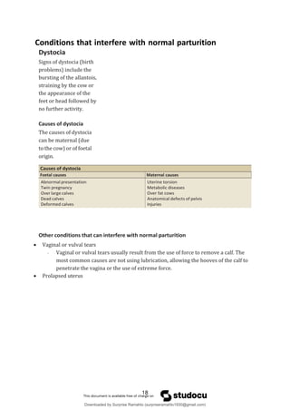 Conditions that interfere with normal parturition
Dystocia
Signs of dystocia (birth
problems) include the
bursting of the allantois,
straining by the cow or
the appearance of the
feet or head followed by
no further activity.
Causes of dystocia
The causes of dystocia
can be maternal (due
to the cow) or of foetal
origin.
Causes of dystocia
Foetal causes Maternal causes
Abnormal presentation
Twin pregnancy
Over large calves
Dead calves
Deformed calves
Uterine torsion
Metabolic diseases
Over fat cows
Anatomical defects of pelvis
Injuries
Other conditions that can interfere with normal parturition
 Vaginal or vulval tears
- Vaginal or vulval tears usually result from the use of force to remove a calf. The
most common causes are not using lubrication, allowing the hooves of the calf to
penetrate the vagina or the use of extreme force.
 Prolapsed uterus
18
Downloaded by Surprise Ramahlo (surpriseramahlo1930@gmail.com)
lOMoARcPSD|29919704
 