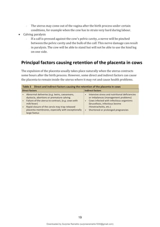 - The uterus may come out of the vagina after the birth process under certain
conditions, for example when the cow has to strain very hard during labour.
 Calving paralysis
- If a calf is pressed against the cow’s pelvic cavity, a nerve will be pinched
between the pelvic cavity and the bulk of the calf. This nerve damage can result
in paralysis. The cow will be able to stand but will not be able to use the hind leg
on one side.
Principal factors causing retention of the placenta in cows
The expulsion of the placenta usually takes place naturally when the uterus contracts
some hours after the birth process. However, some direct and indirect factors can cause
the placenta to remain inside the uterus where it may rot and cause health problems.
Table 3 Direct and indirect factors causing the retention of the placenta in cows
Direct factors Indirect factors
● Abnormal deliveries (e.g. twins, caesareans,
dystocia, abortions or premature calving
● Failure of the uterus to contract, (e.g. cows with
milk fever)
● Rapid closure of the cervix may trap released
placenta membranes, especially with exceptionally
large foetus
● Intensive stress and nutritional deficiencies
or imbalances (management problems)
● Cows infected with infectious organisms
(brucellosis, infectious bovine
rhinotracheitis, etc.)
● Shortened or prolonged pregnancies
19
Downloaded by Surprise Ramahlo (surpriseramahlo1930@gmail.com)
lOMoARcPSD|29919704
 