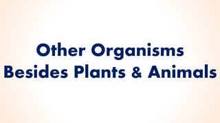 Other Organisms
Besides Plants & Animals
 