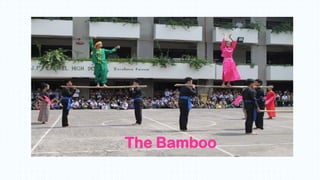 The Bamboo
 