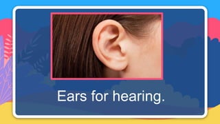 Observing Ear Grade 1 - Observing.pptx