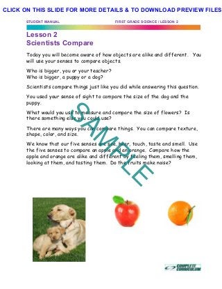 STUDENT MANUAL FIRST GRADE SCIENCE / LESSON 2
Lesson 2
Scientists Compare
Today you will become aware of how objects are alike and different. You
will use your senses to compare objects.
Who is bigger, you or your teacher?
Who is bigger, a puppy or a dog?
Scientists compare things just like you did while answering this question.
You used your sense of sight to compare the size of the dog and the
puppy.
What would you use to measure and compare the size of flowers? Is
there something else you could use?
There are many ways you can compare things. You can compare texture,
shape, color, and size.
We know that our five senses are see, hear, touch, taste and smell. Use
the five senses to compare an apple and an orange. Compare how the
apple and orange are alike and different by feeling them, smelling them,
looking at them, and tasting them. Do the fruits make noise?
SAM
PLE
CLICK ON THIS SLIDE FOR MORE DETAILS & TO DOWNLOAD PREVIEW FILES!
 