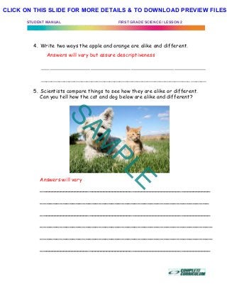 STUDENT MANUAL FIRST GRADE SCIENCE / LESSON 2
4. Write two ways the apple and orange are alike and different.
Answers will vary but assure descriptiveness
_________________________________________________________
_________________________________________________________________
5. Scientists compare things to see how they are alike or different.
Can you tell how the cat and dog below are alike and different?
Answers will vary
___________________________________________________________
____________________________________________________
___________________________________________________________
_____________________________________________________
_____________________________________________________
___________________________________________________________
SAM
PLE
CLICK ON THIS SLIDE FOR MORE DETAILS & TO DOWNLOAD PREVIEW FILES!
 