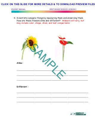 STUDENT MANUAL FIRST GRADE SCIENCE / LESSON 2
6. Scientists compare things by measuring them and observing them.
How are these flowers alike and different? Answers will vary, but
may include color, shape, stem, and leaf comparisons
Alike:
___________________________________________________________
___________________________________________________________
___________________________________________________________
Different :
___________________________________________________________
___________________________________________________________
___________________________________________________________
SAM
PLE
CLICK ON THIS SLIDE FOR MORE DETAILS & TO DOWNLOAD PREVIEW FILES!
 