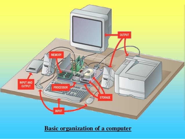 Grade 10 1st Term IT Notes