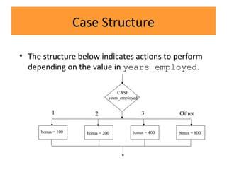 Case Structure
• The structure below indicates actions to perform
depending on the value in years_employed.
CASE
years_employed
1 2 3 Other
bonus = 100 bonus = 200 bonus = 400 bonus = 800
 