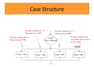 Case Structure
CASE
years_employed
1 2 3 Other
bonus = 100 bonus = 200 bonus = 400 bonus = 800
If years_employed = 1,
bonus is set to 100
If years_employed = 2,
bonus is set to 200
If years_employed = 3,
bonus is set to 400
If years_employed is
any other value, bonus
is set to 800
 