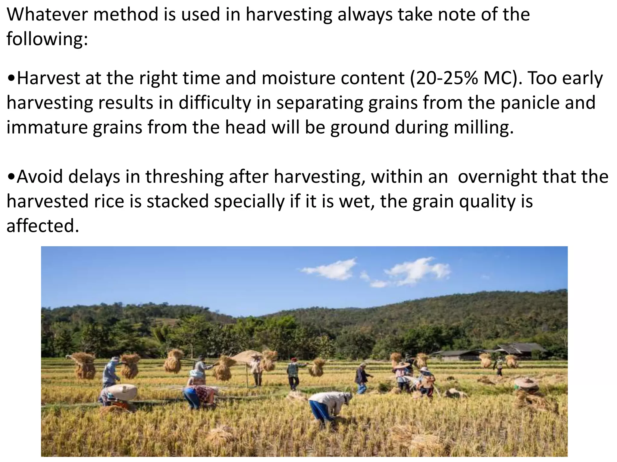 Grade 10 - HARVESTING, THRESHING, DRYING, STORING,.pptx