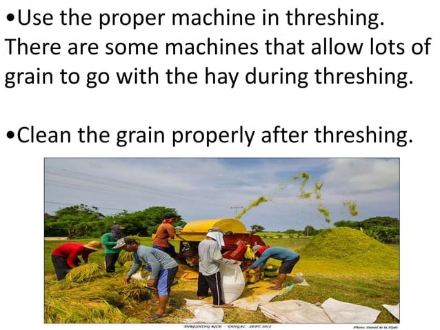 Grade 10 - HARVESTING, THRESHING, DRYING, STORING,.pptx | Agriculture ...