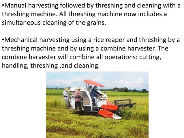Grade 10 - HARVESTING, THRESHING, DRYING, STORING,.pptx | Agriculture ...