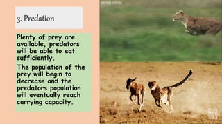 GRADE 10 1ST WEEK.pptx