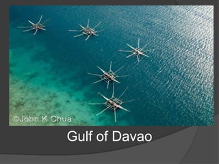 Gulf of Davao
 