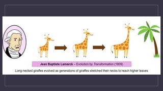grade 10 Biodiversity and Evolution ppt.pptx