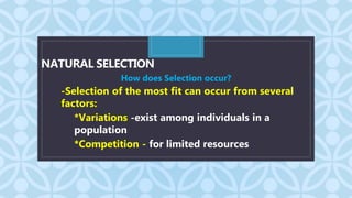 grade 10 Biodiversity and Evolution ppt.pptx