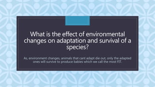 grade 10 Biodiversity and Evolution ppt.pptx