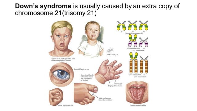 Grade 10 Lesson Mut.pptx | Genetics | Science