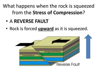 What happens when the rock is squeezed
from the Stress of Compression?
• A REVERSE FAULT
• Rock is forced upward as it is squeezed.
 