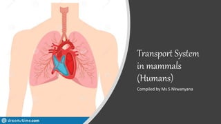 Transport System
in mammals
(Humans)
Compiled by Ms S Nkwanyana
 