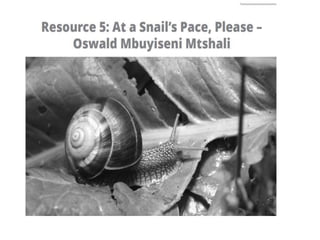At a Snail’s Pace, Please –
Oswald Mbuyiseni Mtshali
At a Snail’s Pace, Please – Oswald Mbuyiseni
Mtshali
 