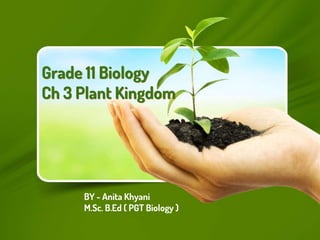 Grade 11 Biology
Ch 3 Plant Kingdom
BY - Anita Khyani
M.Sc. B.Ed ( PGT Biology )
 