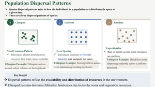 Dispersed Pattern Example Population Ecology and Natural Resource Management in Ethiopia: Growth ...