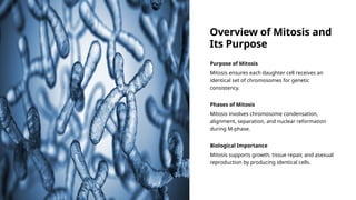 Overview of Mitosis and
Its Purpose
Purpose of Mitosis
Mitosis ensures each daughter cell receives an
identical set of chromosomes for genetic
consistency.
Phases of Mitosis
Mitosis involves chromosome condensation,
alignment, separation, and nuclear reformation
during M-phase.
Biological Importance
Mitosis supports growth, tissue repair, and asexual
reproduction by producing identical cells.
 