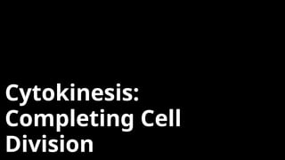 Cytokinesis:
Completing Cell
Division
 