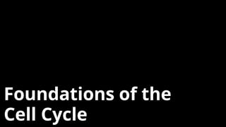 Foundations of the
Cell Cycle
 