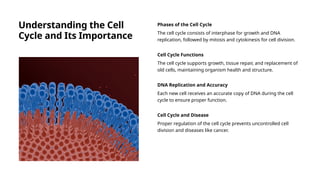 Understanding the Cell
Cycle and Its Importance
Phases of the Cell Cycle
The cell cycle consists of interphase for growth and DNA
replication, followed by mitosis and cytokinesis for cell division.
Cell Cycle Functions
The cell cycle supports growth, tissue repair, and replacement of
old cells, maintaining organism health and structure.
DNA Replication and Accuracy
Each new cell receives an accurate copy of DNA during the cell
cycle to ensure proper function.
Cell Cycle and Disease
Proper regulation of the cell cycle prevents uncontrolled cell
division and diseases like cancer.
 