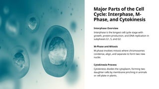 Major Parts of the Cell
Cycle: Interphase, M-
Phase, and Cytokinesis
Interphase Overview
Interphase is the longest cell cycle stage with
growth, protein production, and DNA replication in
subphases G1, S, and G2.
M-Phase and Mitosis
M-phase involves mitosis where chromosomes
condense, align, and separate to form two new
nuclei.
Cytokinesis Process
Cytokinesis divides the cytoplasm, forming two
daughter cells by membrane pinching in animals
or cell plate in plants.
 