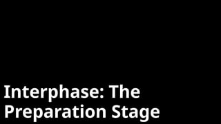 Interphase: The
Preparation Stage
 