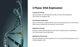 S Phase: DNA Replication
Purpose of S Phase
During S phase, the cell replicates its DNA to ensure identical genetic
information for daughter cells.
Chromosome Duplication
Each chromosome is copied into two sister chromatids joined at the centromere,
DNA amount doubles but chromosome count remains.
Replication Process
Enzymes unwind DNA double helix and match complementary nucleotides to
form new strands during replication.
Significance of Accuracy
Accurate replication prevents genetic errors, ensuring cell cycle progression and
healthy daughter cells.
 