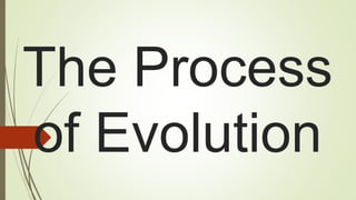 The Process
of Evolution
 