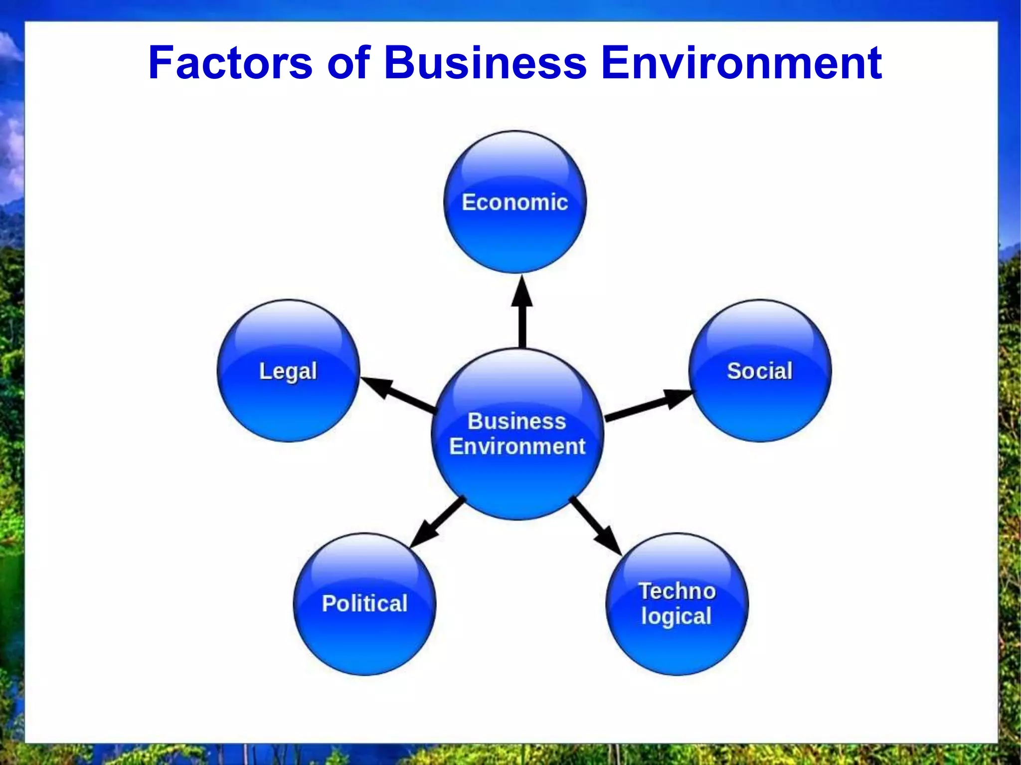Grade 12 BS - Chapter 3 Business Environment.pptx | Green Solutions ...