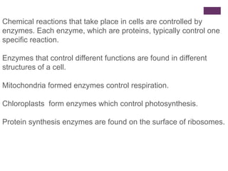 Chemical reactions that take place in cells are controlled by
enzymes. Each enzyme, which are proteins, typically control one
specific reaction.
Enzymes that control different functions are found in different
structures of a cell.
Mitochondria formed enzymes control respiration.
Chloroplasts form enzymes which control photosynthesis.
Protein synthesis enzymes are found on the surface of ribosomes.
 