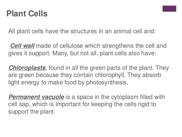 Grade 12 Lesson 1 Intro Slideshare